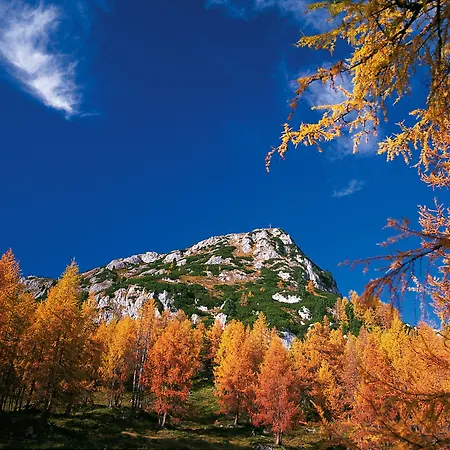 Hotel Pichlmayrgut Schladming