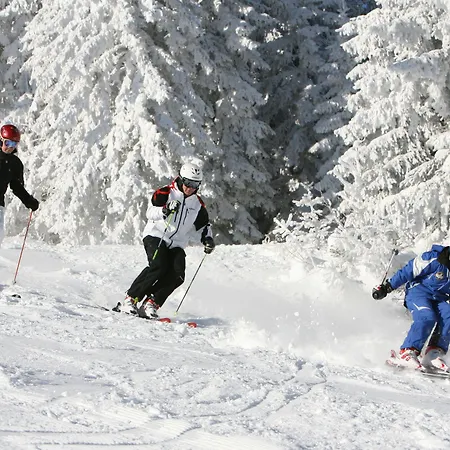 Pichlmayrgut 4* Шладмінг
