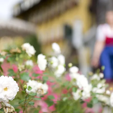 호텔 Pichlmayrgut 4*