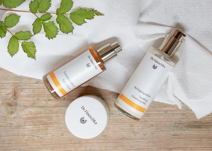 Pichlmayrgut Schladming