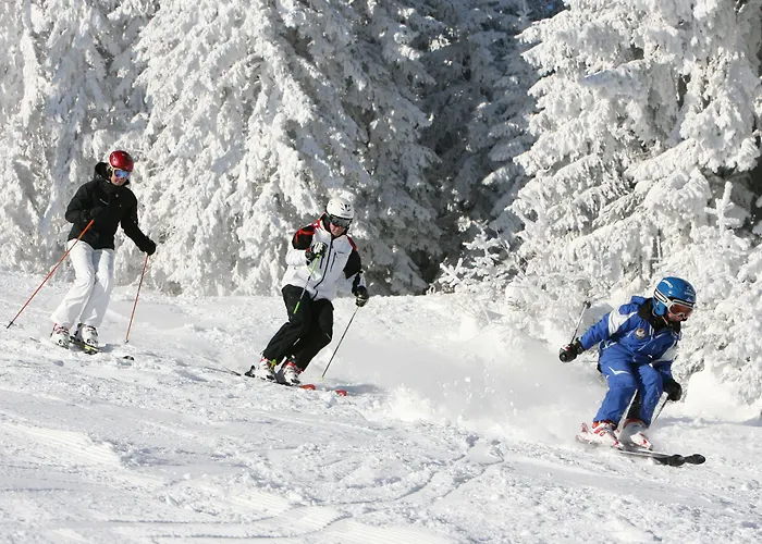 Pichlmayrgut 4* Schladming