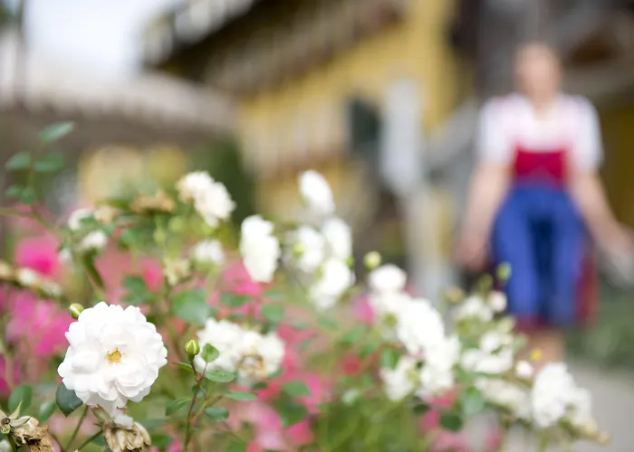 Otel Pichlmayrgut 4*